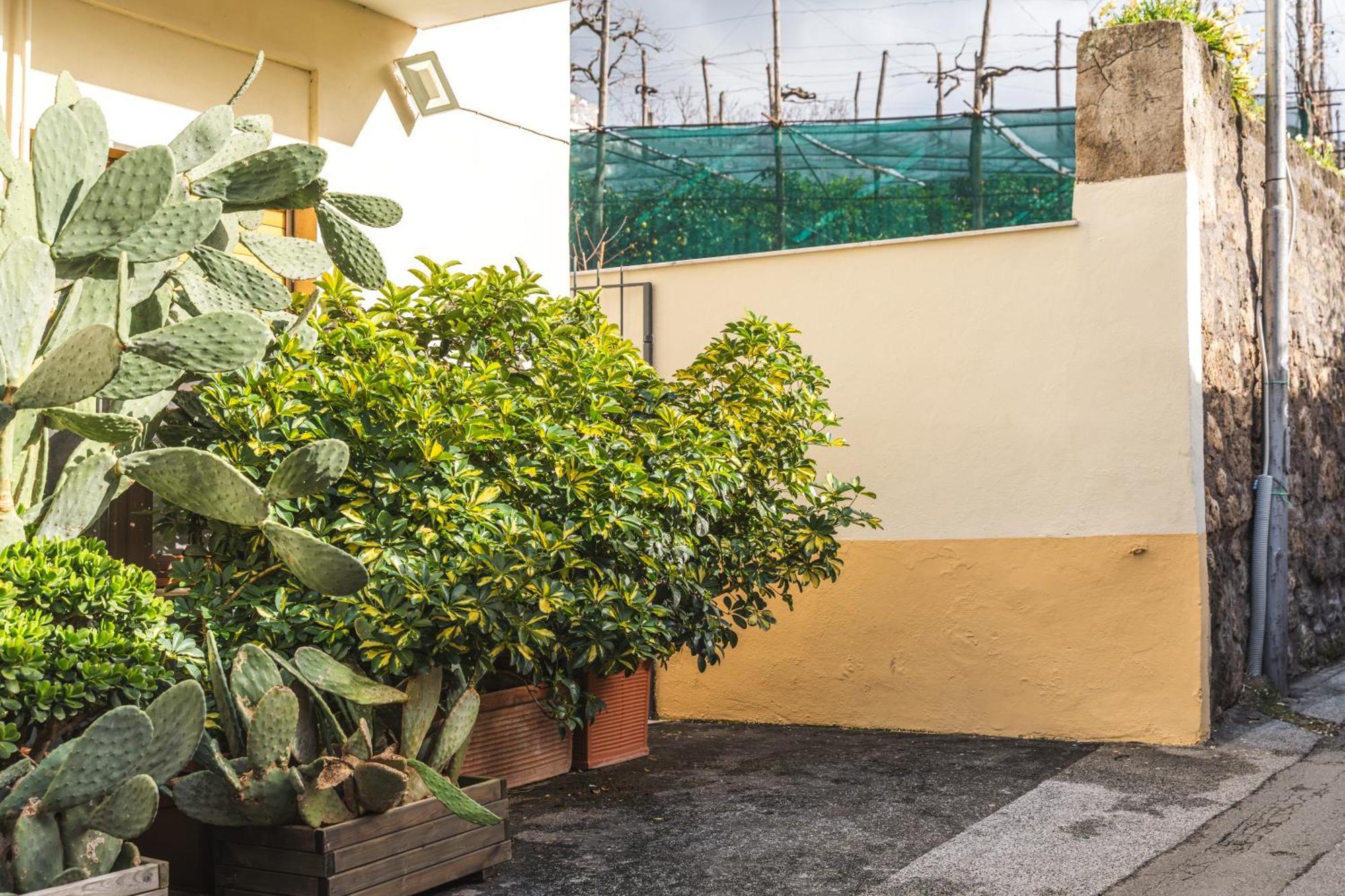 Sorrento Central Flat Exterior foto